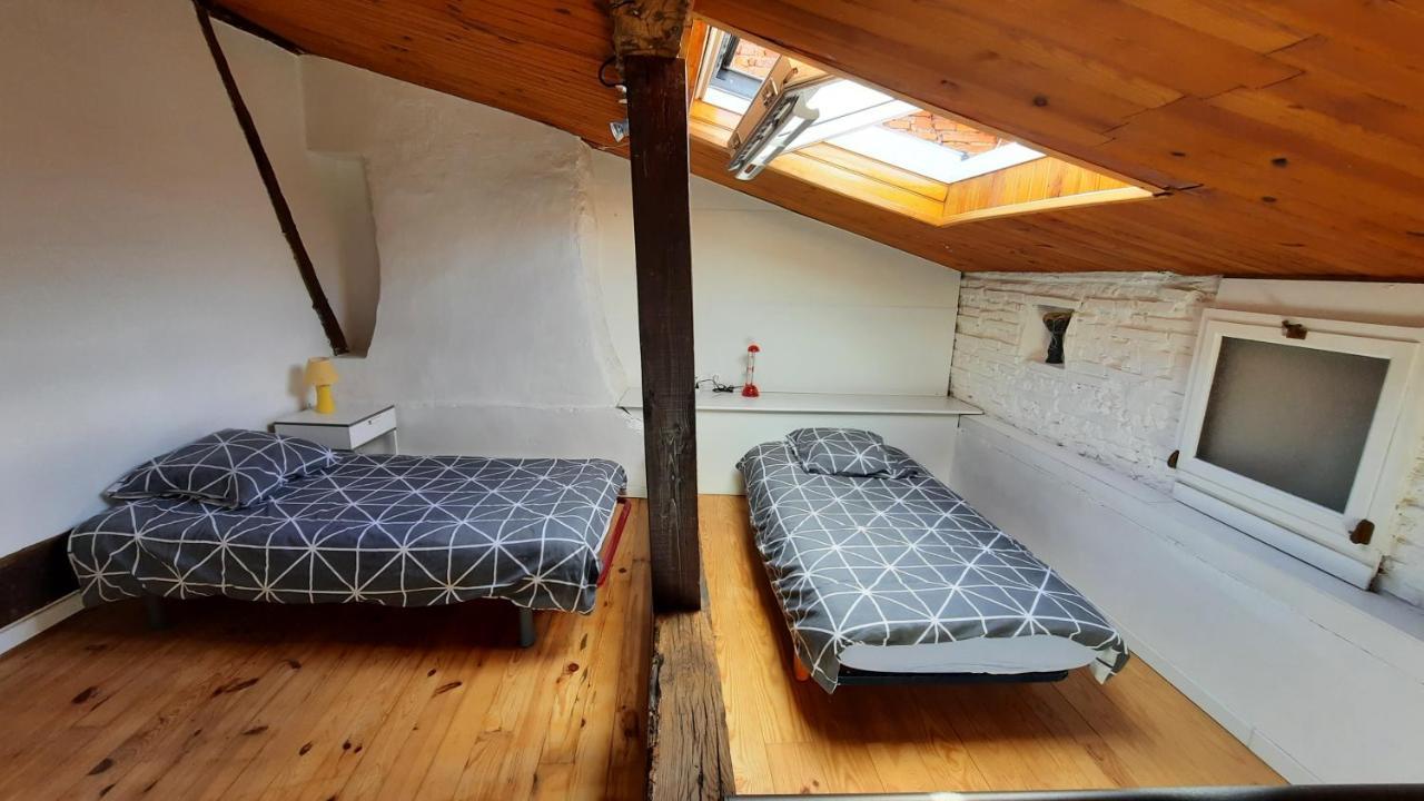 Promo24-31Mai 4Personnes Toulouse 15Mn 4 Lits Cuisine Sde Wc Apartment Montastruc-la-Conseillère Exterior photo